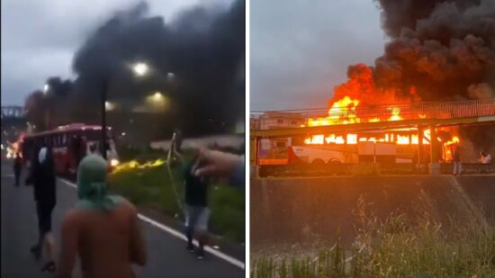 Briga de torcida entre Palmeiras e Cruzeiro - Foto: Reprodução/X/@hdiegorj