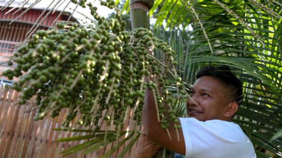 Acordos China Brasil Amazônia