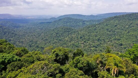 Amazônia