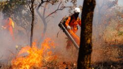 Área queimada no Tocantins aumenta em 160% - Foto: Sargento Felipe Bittencourt/Governo do Tocantins