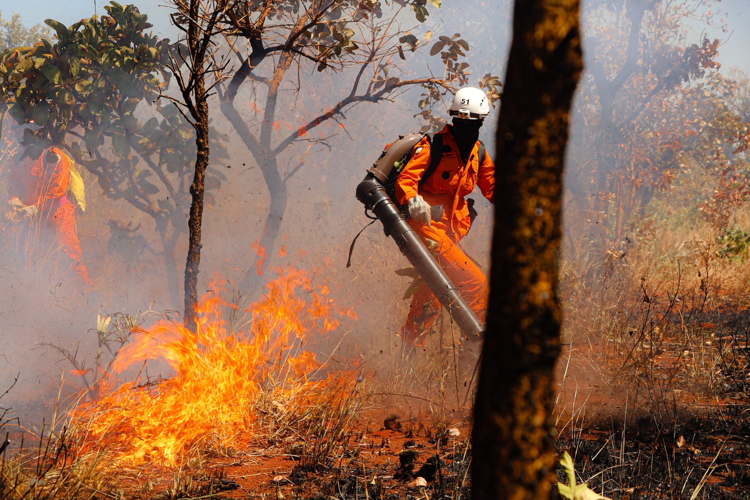 Área queimada no Tocantins aumenta em 160% - Foto: Sargento Felipe Bittencourt/Governo do Tocantins