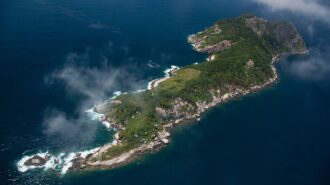 Imagem aérea mostra ilha habitada por cobras, sem presença humana