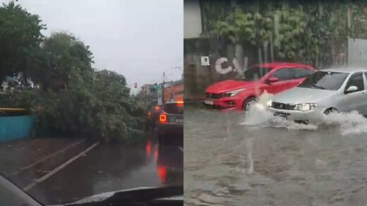 Forte chuva causa alagamentos e queda de árvores