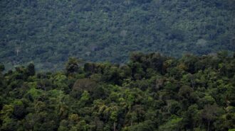 Fundo Amazônia