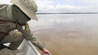 Piracema segue até o fevereiro de 2025 no Tocantins - Foto: Walker Ribeiro/Governo do Tocantins