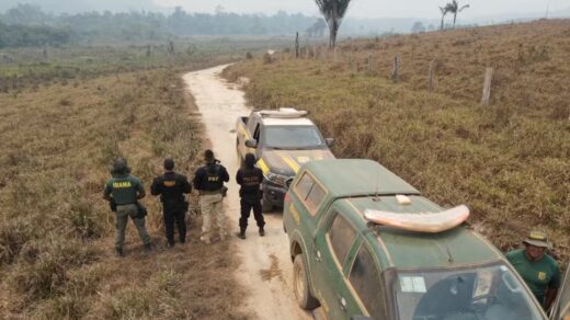 Suspeito preso por provocar queimadas na Amazônia