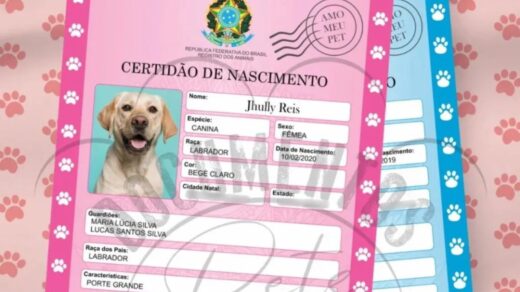 Termo de Declaração de Guarda do Animal