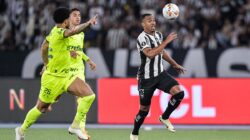 botafogo palmeiras ao vivo