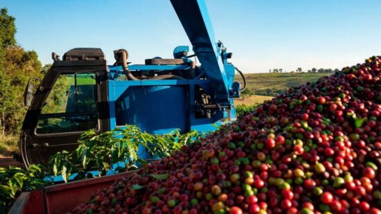 Imposto sobre café produzido em Rondônia tem redução de 12% para 7% - Foto: Reprodução Internet