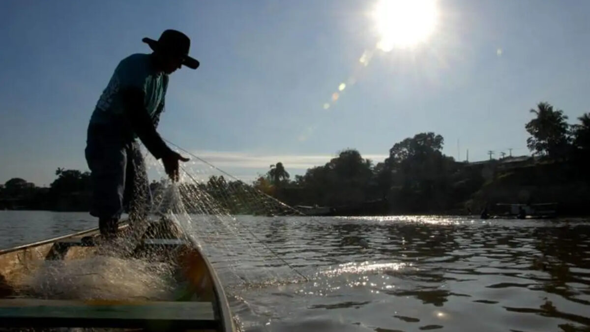 Pescadores de 22 municípios de Rondônia terão auxílio emergencial do governo