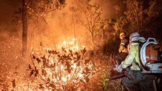 Rondônia foi responsável por 8,4% das áreas queimadas no país - Foto: Reprodução Ibama