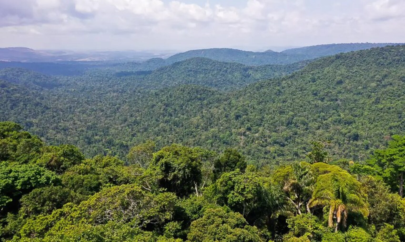 Selo Amazônia: governo institui programa de certificação de serviços e produtos da região