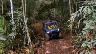 Parque Natural de Porto Velho lança Safári Ecológico