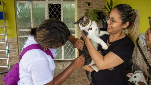 Vacinação cães e gatos