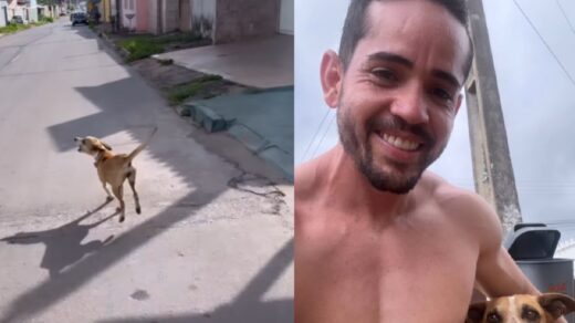 VÍDEO: cachorra conquista coração de corredor após 26 km juntos. Foto: @adailtonroger