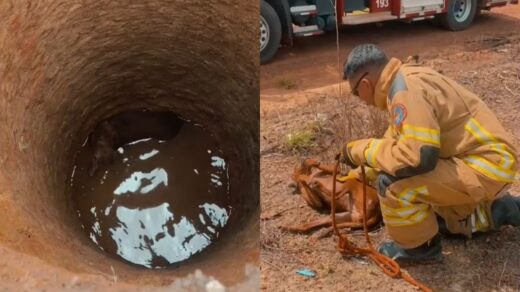 Bombeiros realizam resgate de cachorro em poço de Rorainópolis.