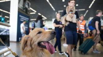 cuidados são necessários, antes e durante a viagem, para evitar transtornos - Foto: Fabio Rodrigues-Pozzebom/ Agência Brasil