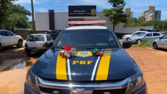 Os dois indivíduos e as substâncias foram encaminhados à Delegacia de Polícia Civil de Palmas para adoção das providências cabíveis - Foto: Divulgação PRF