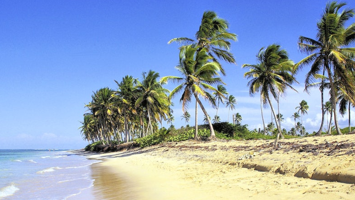 Praia no Ceará. Foto: Delta Rio Parnaíba / Reprodução