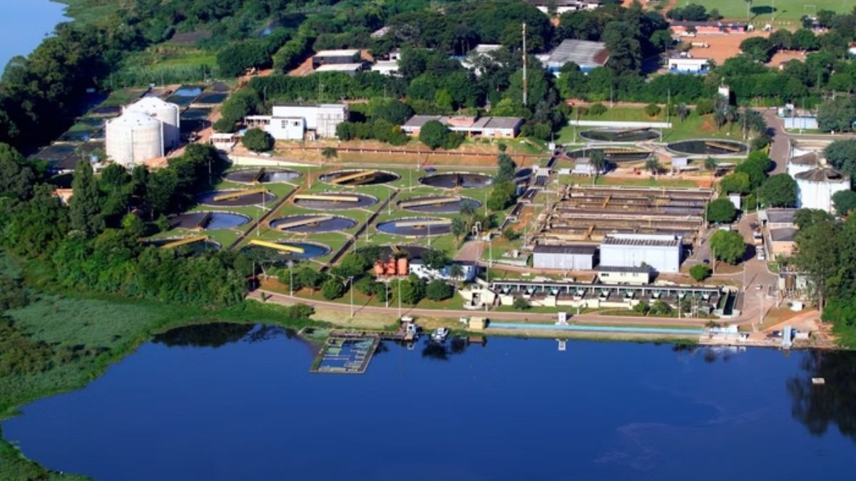 Perna humana brasília