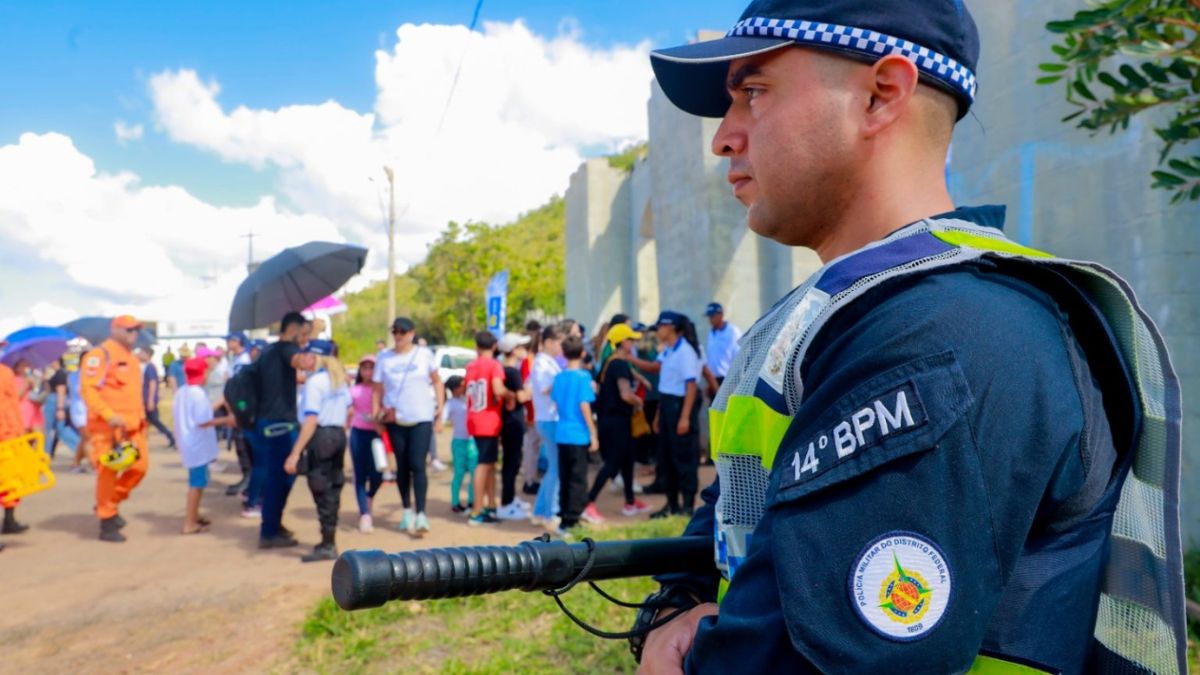 O número total de vítimas de homicídio em 2024 foi de 203 - Fotos: Divulgação/SSP-DF